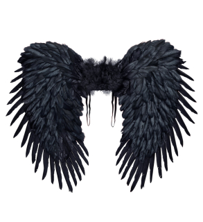 Černá křídla péřová 80x60 cm