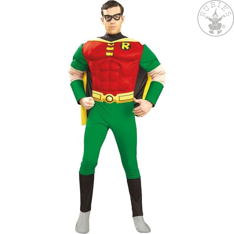 Robin kostým