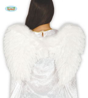 Andělská křídla 47x60