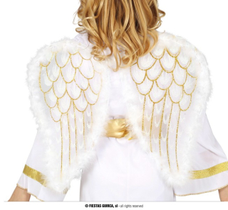 Andělská křídla 47 x 40 cm