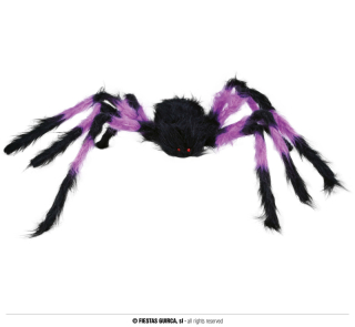 Fialovo-černý pavouk