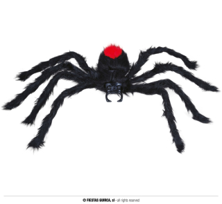 Černý chlupatý pavouk