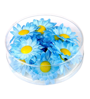 Dokorativní květy modré